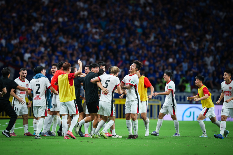 对于纯投入, zDHOA 对于纯投入, zDHOA